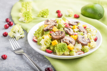 Vegetarian salad from romanesco cabbage, champignons, cranberry, avocado and pumpkin on a gray concrete background. side view, selective focus.