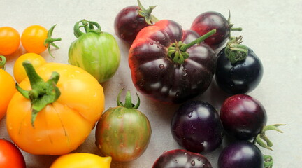 Fresh bright multi-colored tomatoes on a light background close-up selective focus.