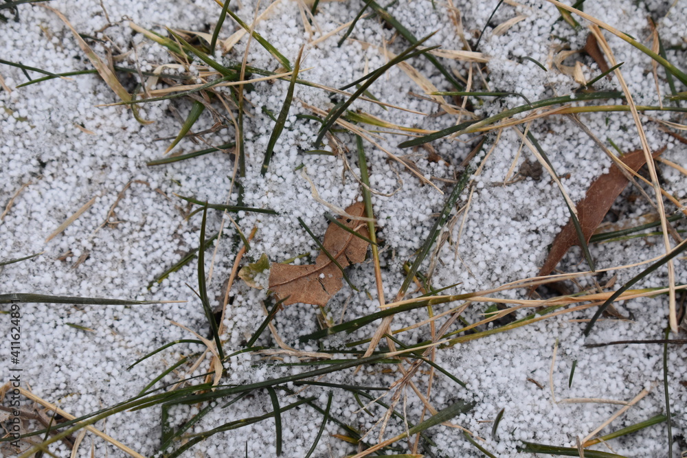 Poster Snow Pellets in Grass