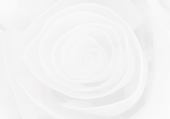 elegant light white rose flower background, 3d render