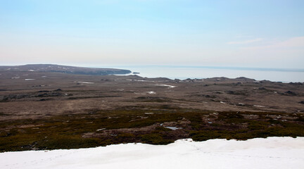 View of the coastal mountain tundra and thickets of cedar woodland in early summer.