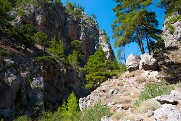 Agia Irini Gorge on Crete Greece - cliffs and forest