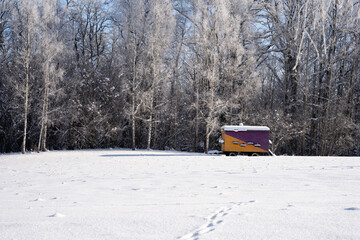 Winter snowy day with forest and trees frosted by the white and next to the forest stands a large trailer for bees to live