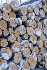 the ends of the cut trees in winter, which are piled up in a large pile and represent the diameter of the circles, which together form an interesting pattern
