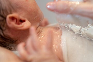 Fototapeta premium 沐浴で新生児の首を洗い流す