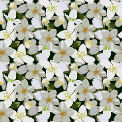 Floral seamless pattern with white flowers of jasmine. For textiles, wallpaper, tea design, cosmetics.