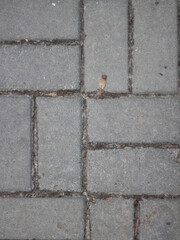 Concrete tile texture, grey background 