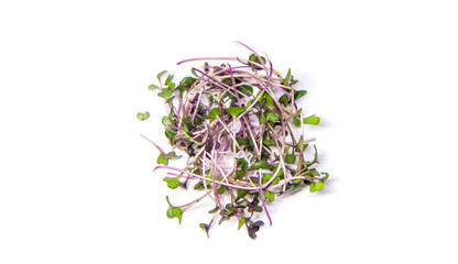 Microgreen red cabbage on a white background isolate. Selective focus.