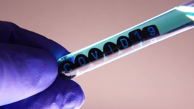 Scientist In Blue Latex Gloves Examining Laboratory Test Tube Containing Covid-19 Sample