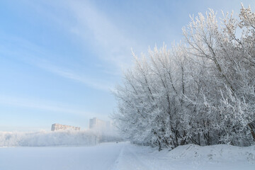 Idyllic snowy winter landscape panorama with trees covered with heavy hoarfrost, on a sunny morning in the city.