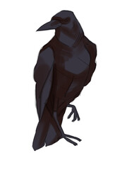 Hand drawn illustration raven print, notebook design art. black crow sketch element. animal collection. isolated graphic on white background.  bird 
digital painting