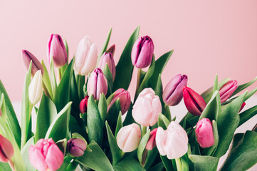 Beautiful Bunch of Colorful Classic Tulips in the Vase on pink background, spring holiday concept