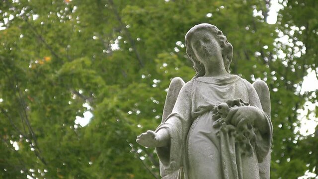 Cemetery angel. A statue of an angel looks down. Green defocused trees move in the background.

