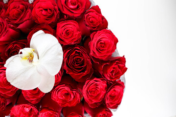 Happy Valentine's Day greeting card. flowers and red heart on white background