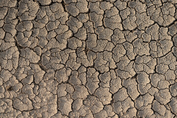 Dried clay.