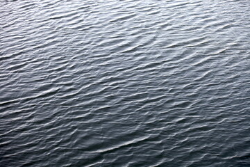 Fototapeta premium wave wave wave