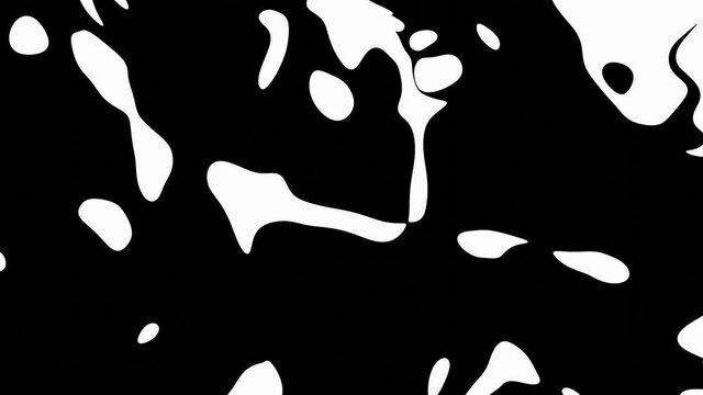 abstrakte schwarz wei&szlig; komposition animation design fl&uuml;ssig rund weich form flie&szlig;end 4k video illustrativ abbildung floral malen symbol minimalistisch