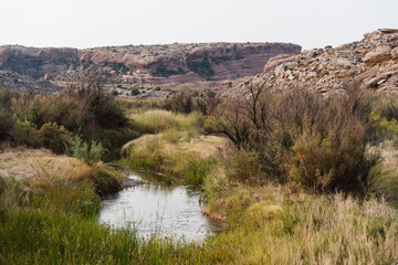 Calm Water in the Desert, Utah - 411641833