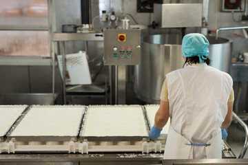Back view portrait of female worker forming cheese at dairy production factory, copy space