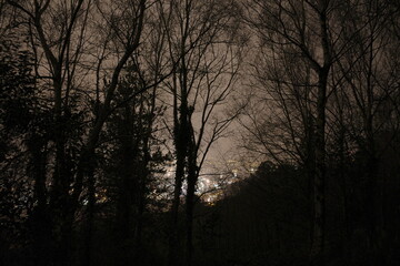 Foggy night in an urban pàrk