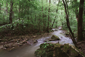 Peaceful Stream in Arkansas - 411642214