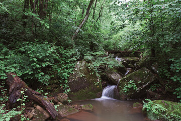 Small Waterfall in Arkansas Forest - 411642230