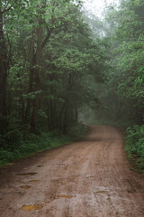 Wet Dirt Road on Foggy Day in Arkansas - 411642249