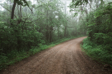 Foggy Dirt Road in Arkansas - 411642280
