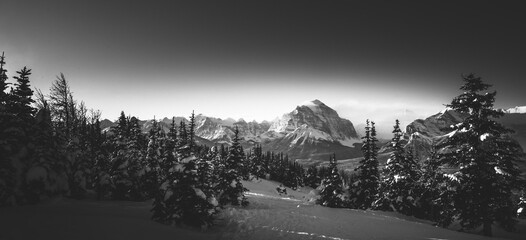 Fototapeta premium winter forest mountain landscape 