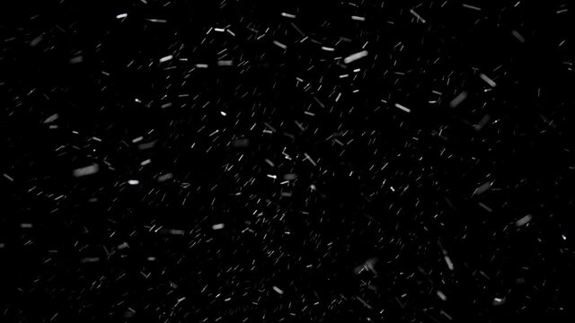 Heavy snowfall isolated on the black background, seamlessly looped. Medium sized snowflakes are blown in different directions by the gusts of strong wind.