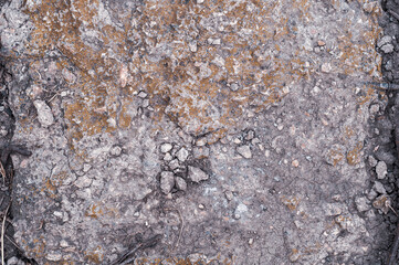 Textured background from old wall, damaged concrete slab material, crumbled surface with yellowed moss, uneven texture.