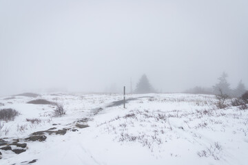 Hiking on the Appalachian Trail at Roan Mountain in the Winter