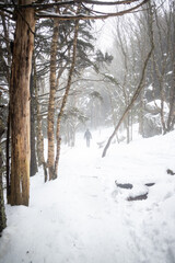 Hiking on the Appalachian Trail at Roan Mountain in the Winter