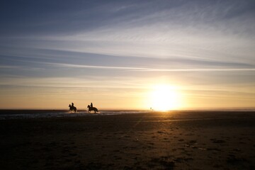 Fototapeta na wymiar Horses on the Beach