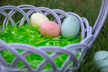 easter eggs in the grass