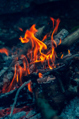 Small flame dying fire, bright red-orange flame. Cozy warm atmosphere by outdoors campfire recreation, burning wood.