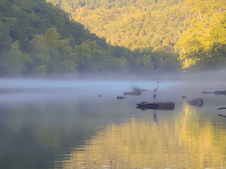 Early morning river