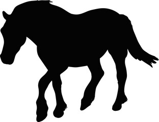 Vector illustration of the silhouette of a horse