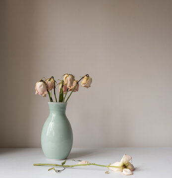 Close up of wilted pink roses in green vase on table against wall (selective focus)