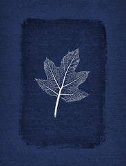 Botanical illustration of a leaf layered over fabric texture with natural edges