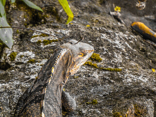 Shadows in the travel 