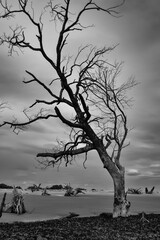 Cenas de Terror Praiana