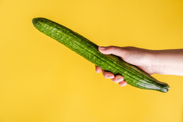 Female hand holding cucumber on yellow background - Woman hold green cucumber with copy space -...