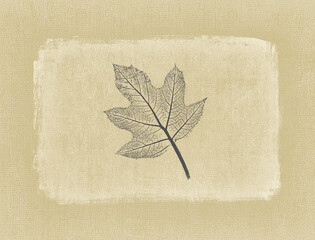 Nature collage of a leaf layered over neutral texture background