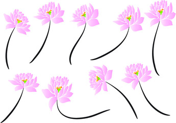 vector drawing lotus set background