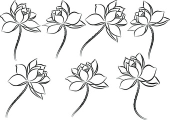 vector drawing lotus set background