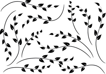 vector drawing leaf set background