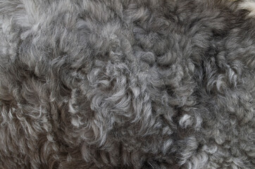 texture wool