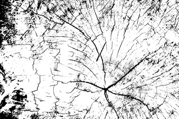 Vector monochrome wood texture effect. Grunge abstract background.