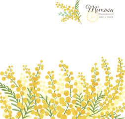 ミモザの手描きイラスト/背景